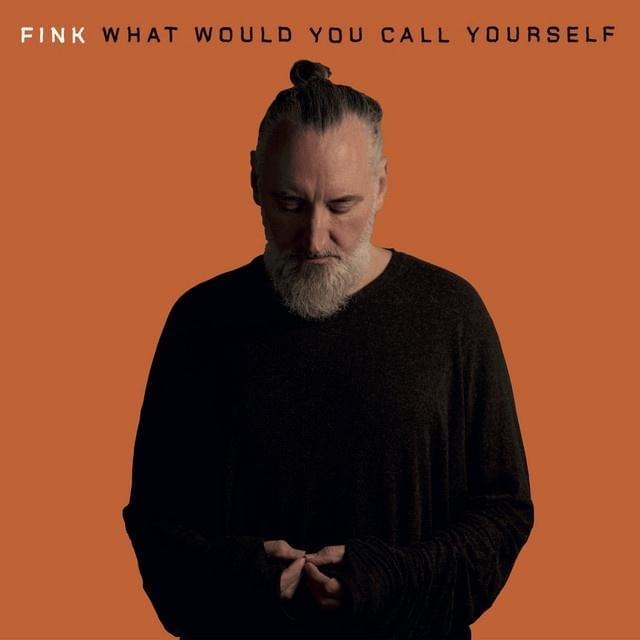 Album cover art for "What Would You Call Yourself" by Fink