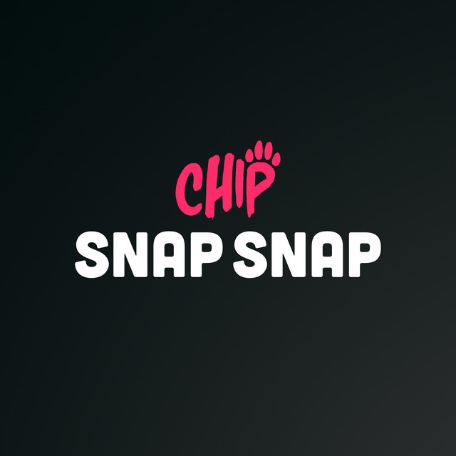 Album cover art for "Snap Snap" by Chip