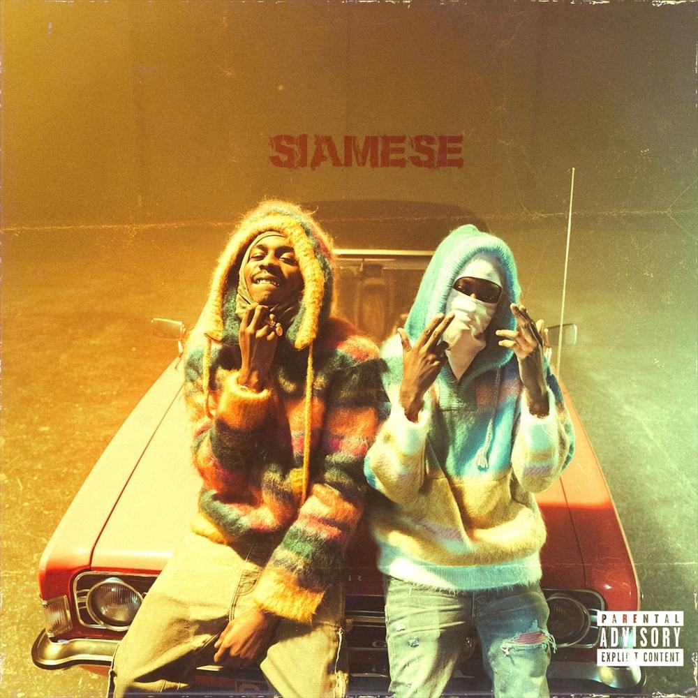 Album cover art for "Siamese" by Kwengface