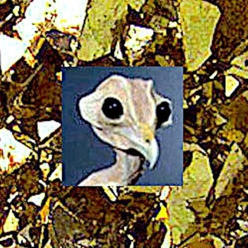 Album cover art for "CHICKENHEAD" by Yvncc