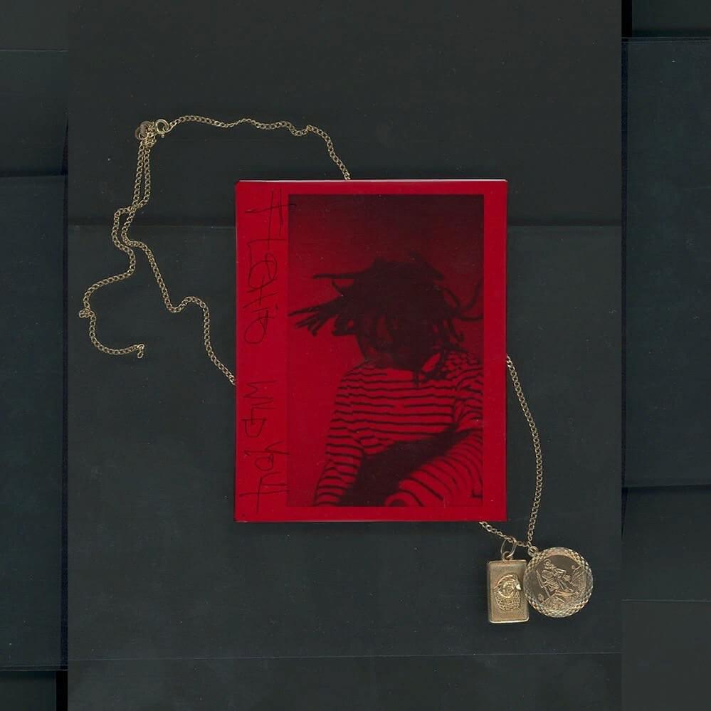 Cover image for Wild Yout