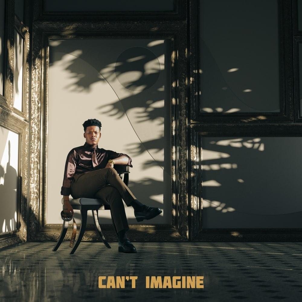 Album cover art for "Can’t Imagine" by Nasty C