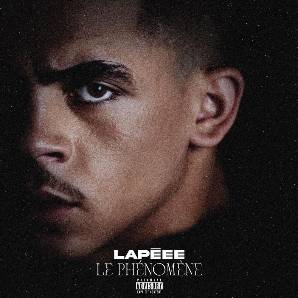 Cover image for Le Phénomène