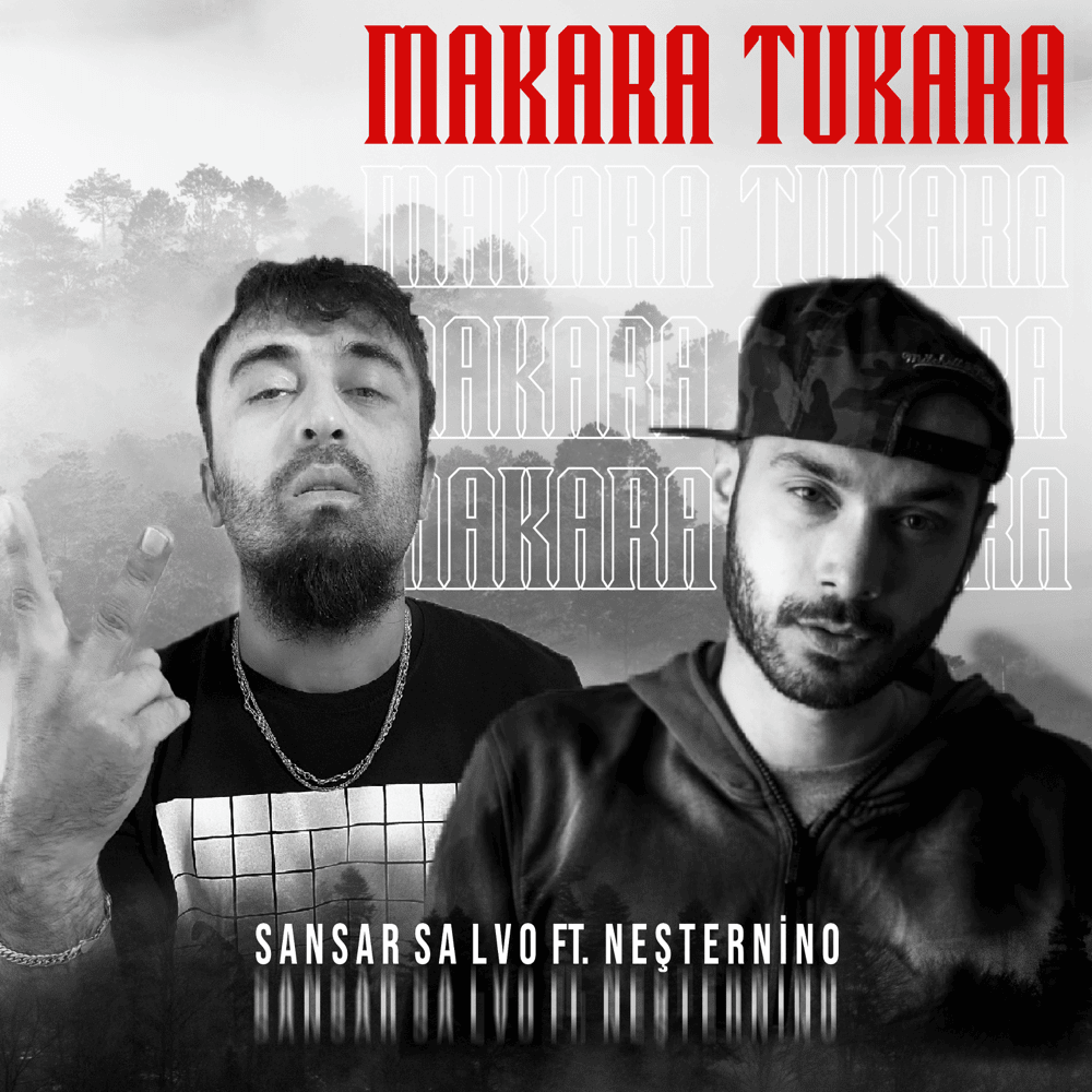 Album cover art for "Makara Tukara" by Sansar Salvo & Neşternino