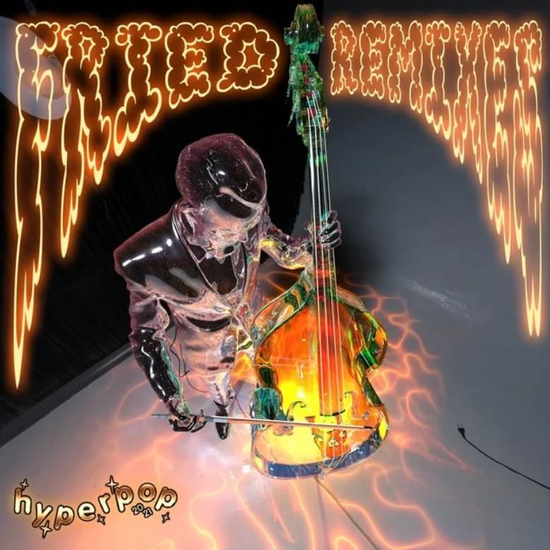Cover image for Fried (Remixes)