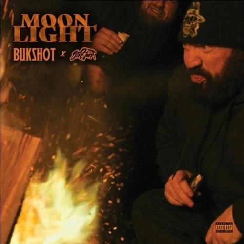 Album cover art for "Moonlight" by Bukshot & Str8jaket