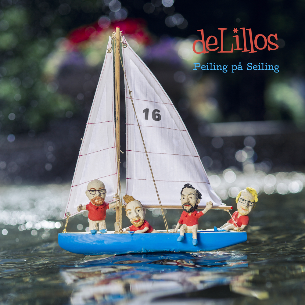 Cover image for Peiling på seiling