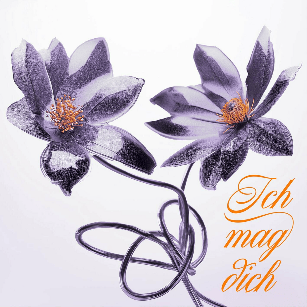 Album cover art for "Ich mag dich" by Bravo Hits