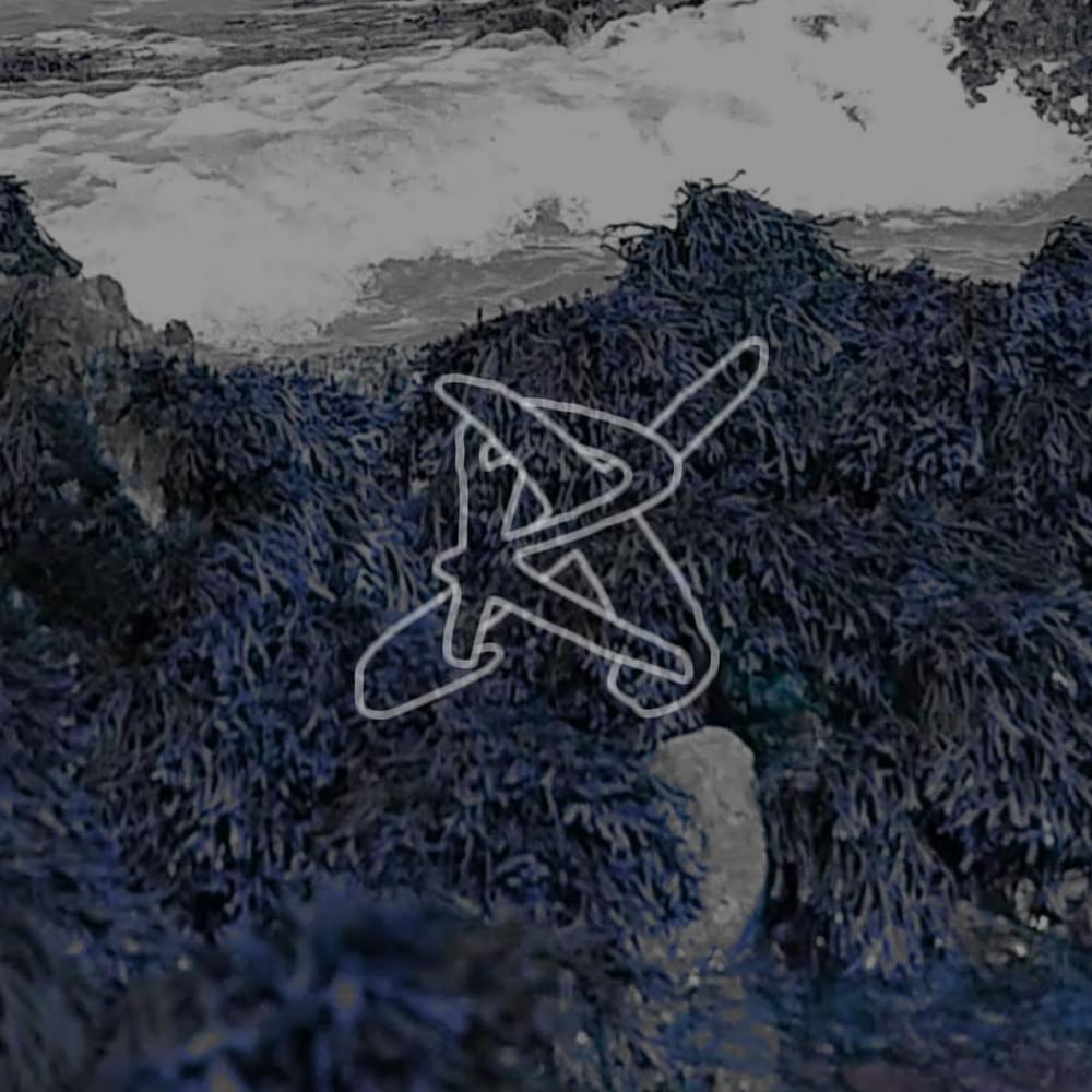 XRaidX profile picture - official artist image