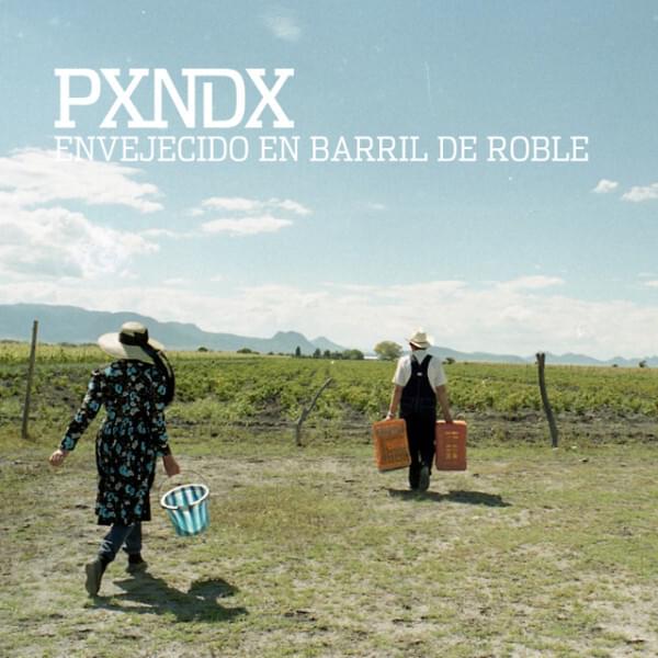 Album cover art for "Envejecido en Barril de Roble" by PXNDX