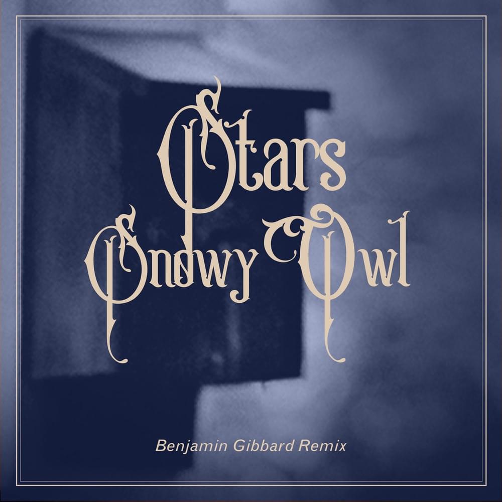Album cover art for "Snowy Owl (Benjamin Gibbard Remix)" by Stars