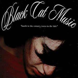 Album cover art for "Hands In The Estuary, Torso In The Lake" by Black Cat Music