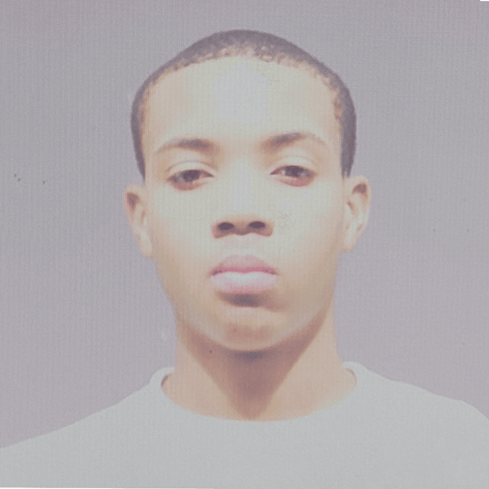 Cover image for Lil Herb