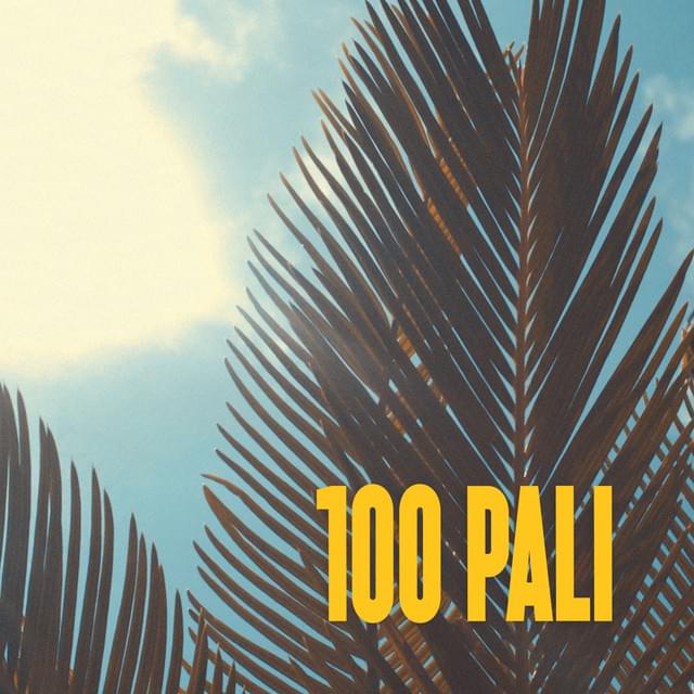 Album cover art for "100 Pali" by Nader Shah