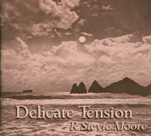 Album cover art for "Delicate Tension" by R. Stevie Moore