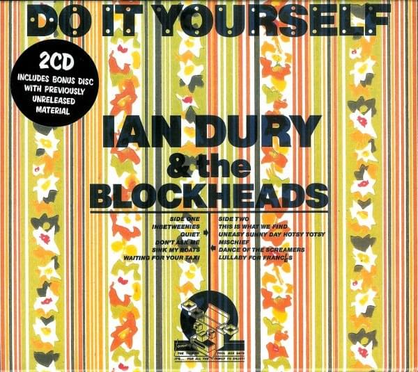 Cover image for Do It Yourself (2004 Reissue)