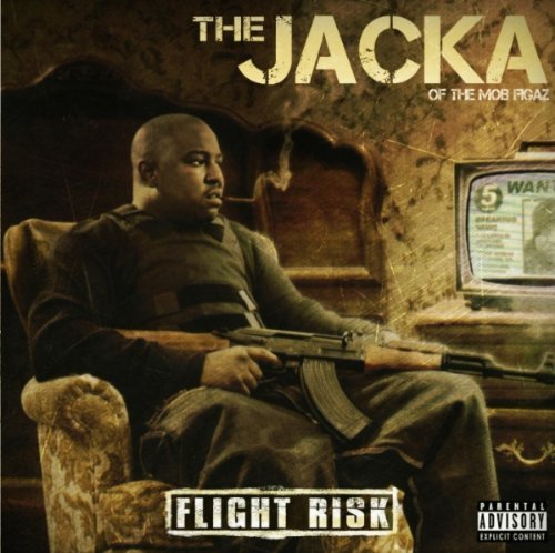 Cover image for Flight Risk