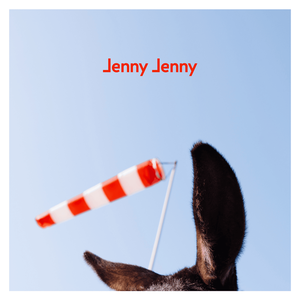 Album cover art for "Jenny Jenny (Esel Session)" by AnnenMayKantereit