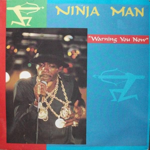 Cover image for Warning You Now
