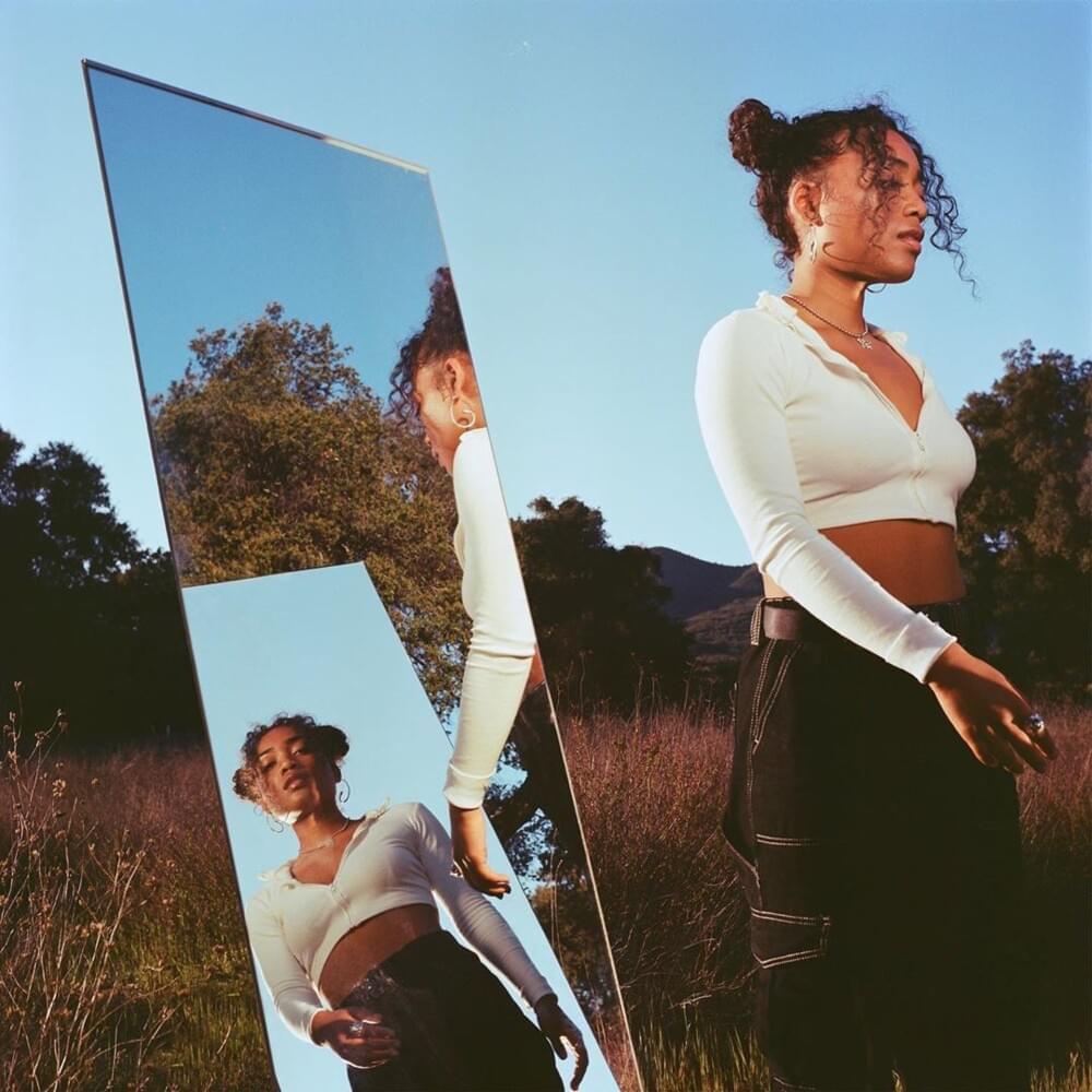 Cover image for Introspection