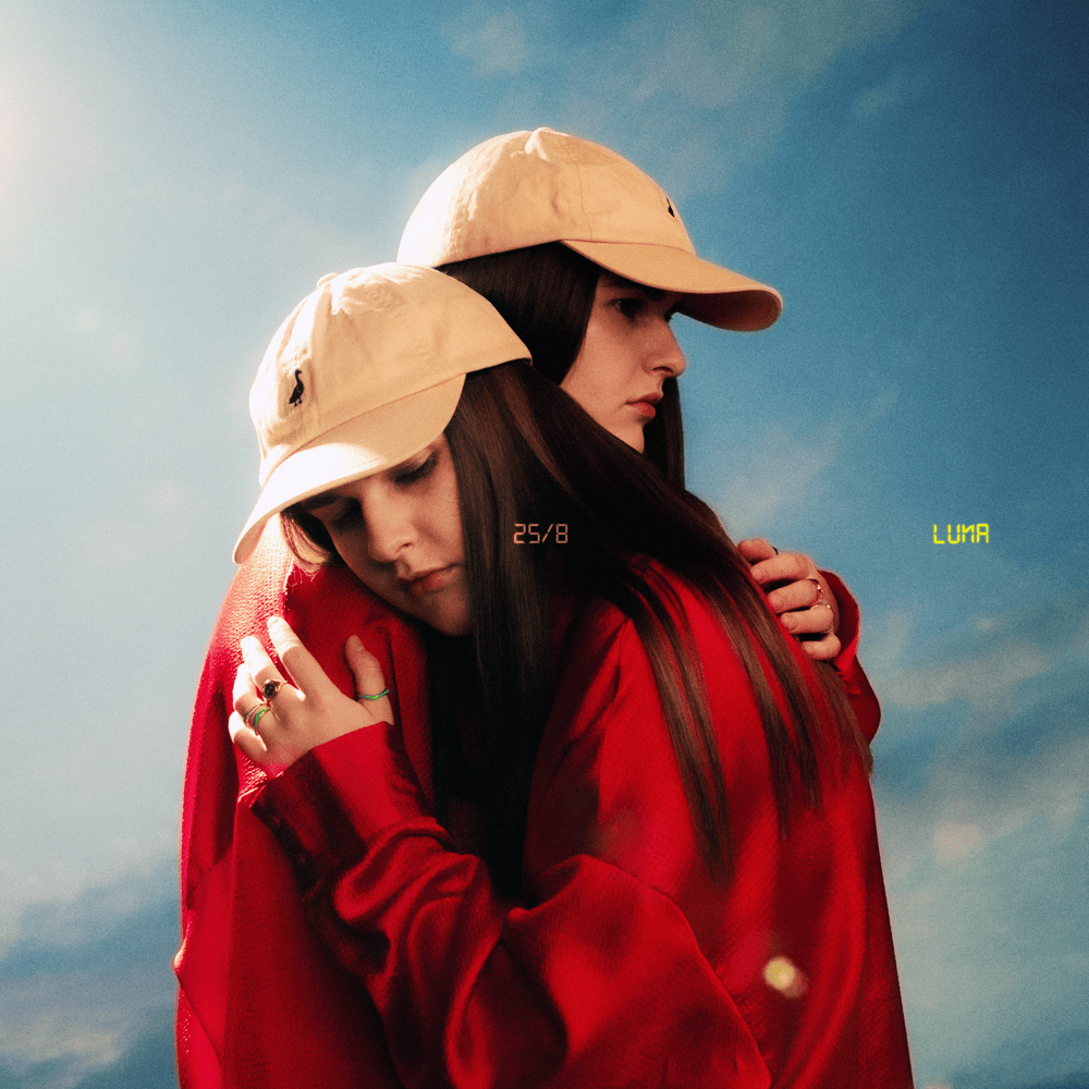 Cover image for 25/8