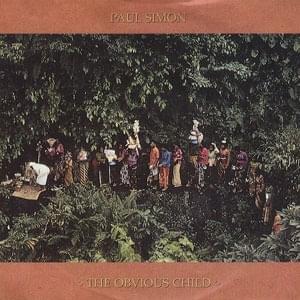 Album cover art for "The Obvious Child" by Paul Simon