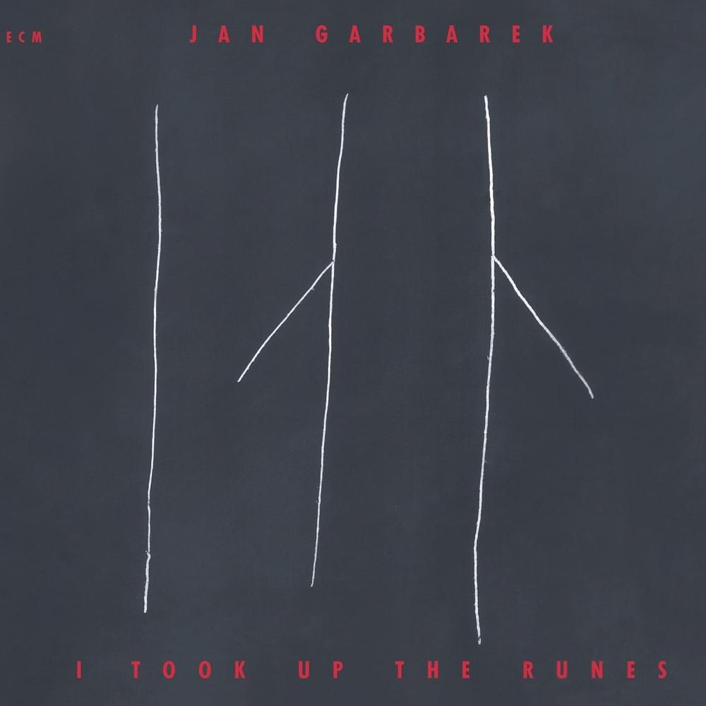 Cover image for I Took Up the Runes