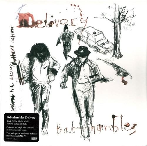 Delivery by Babyshambles