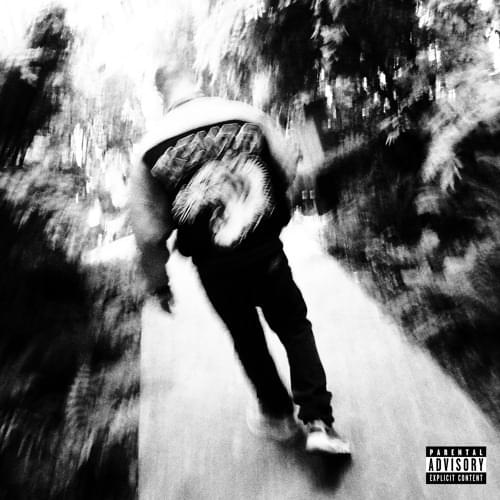 Album cover art for "JE PORTE LA VILLE SUR MON BACK" by Rowjay