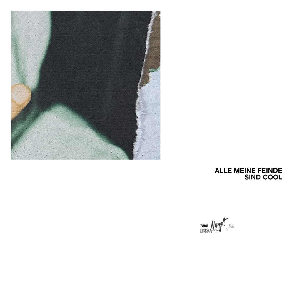 Album cover art for "Alle meine Feinde sind cool" by Nugat