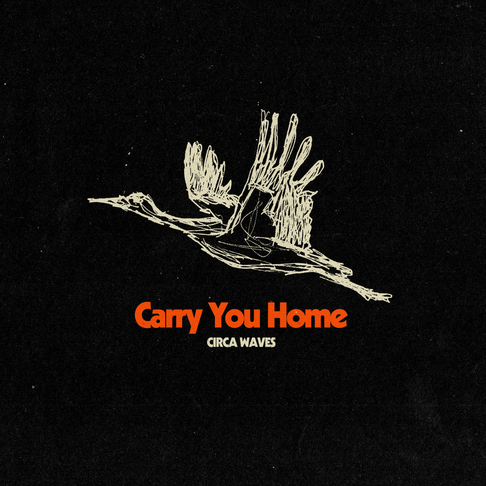 Album cover art for "Carry You Home" by Circa Waves