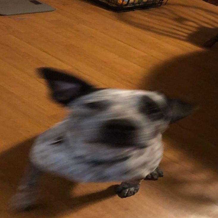Album cover art for "rocket (revision)" by ghostholding