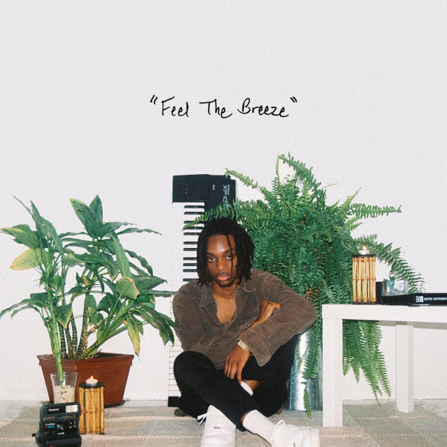 Album cover art for "Feel The Breeze" by Nai Br.XX