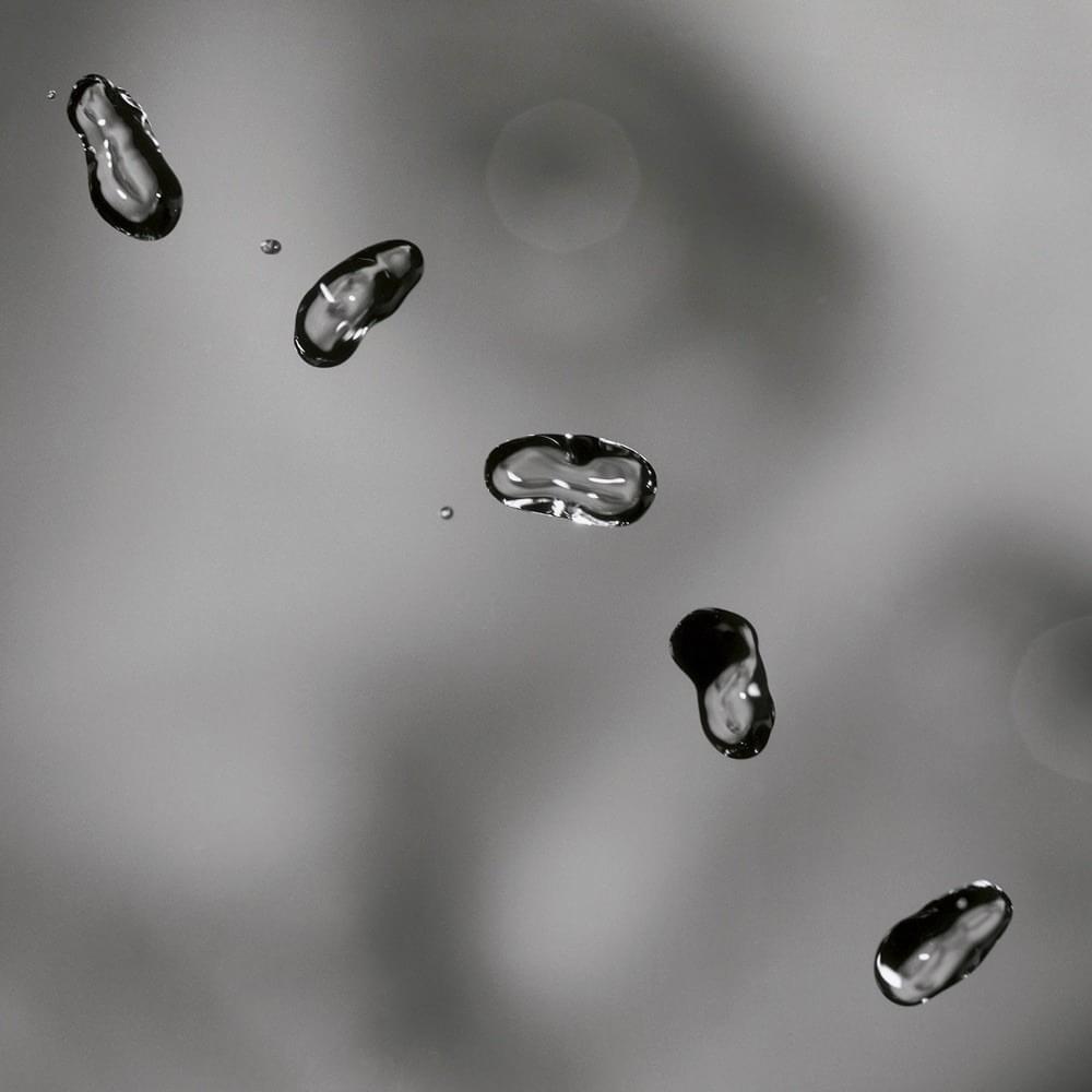 Cover image for Up