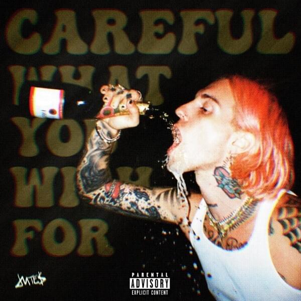 Cover image for Careful What You Wish For