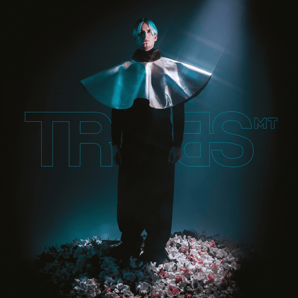 Cover image for MT