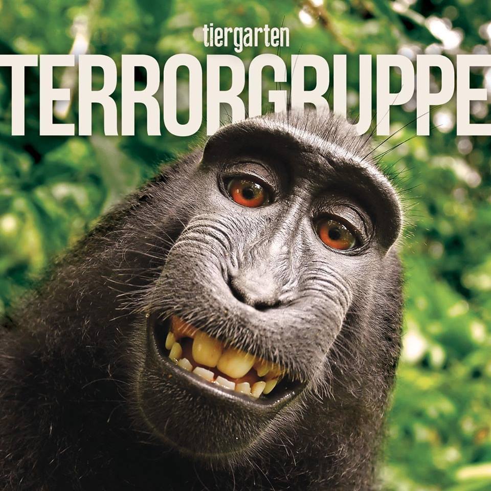 Wie es der Staat mag by Terrorgruppe