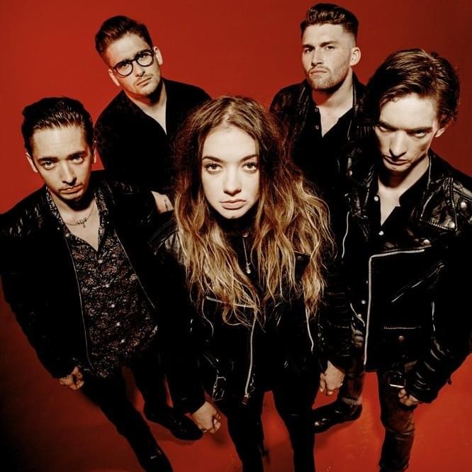 Photo of Marmozets
