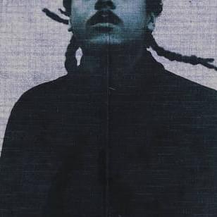 Cover image for Dezordr Records