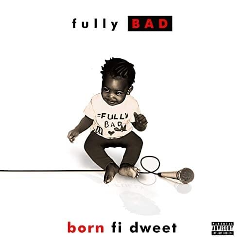 Cover image for Born FI Dweet