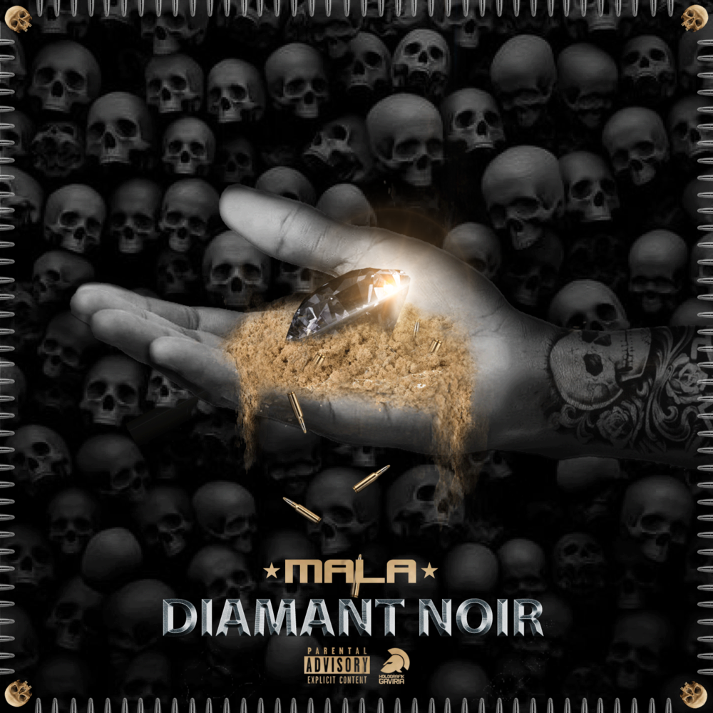 Cover image for Diamant noir