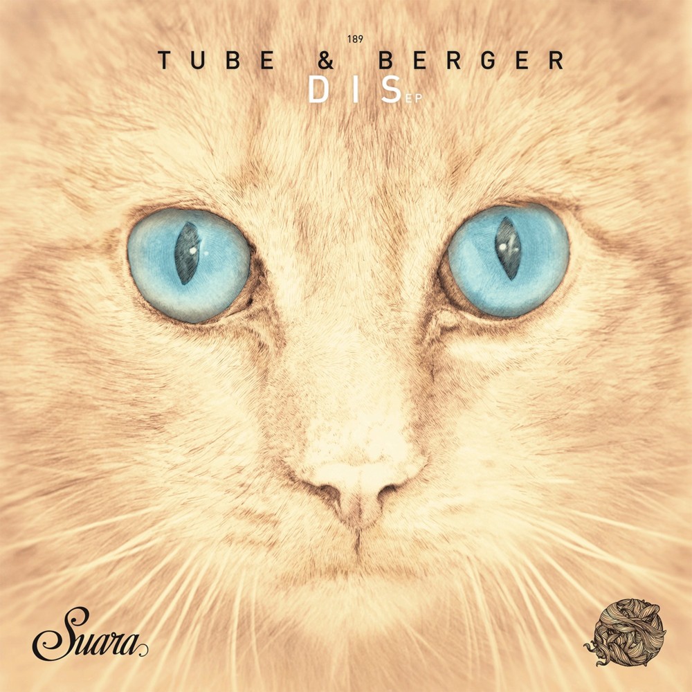 Disarray by Tube & Berger