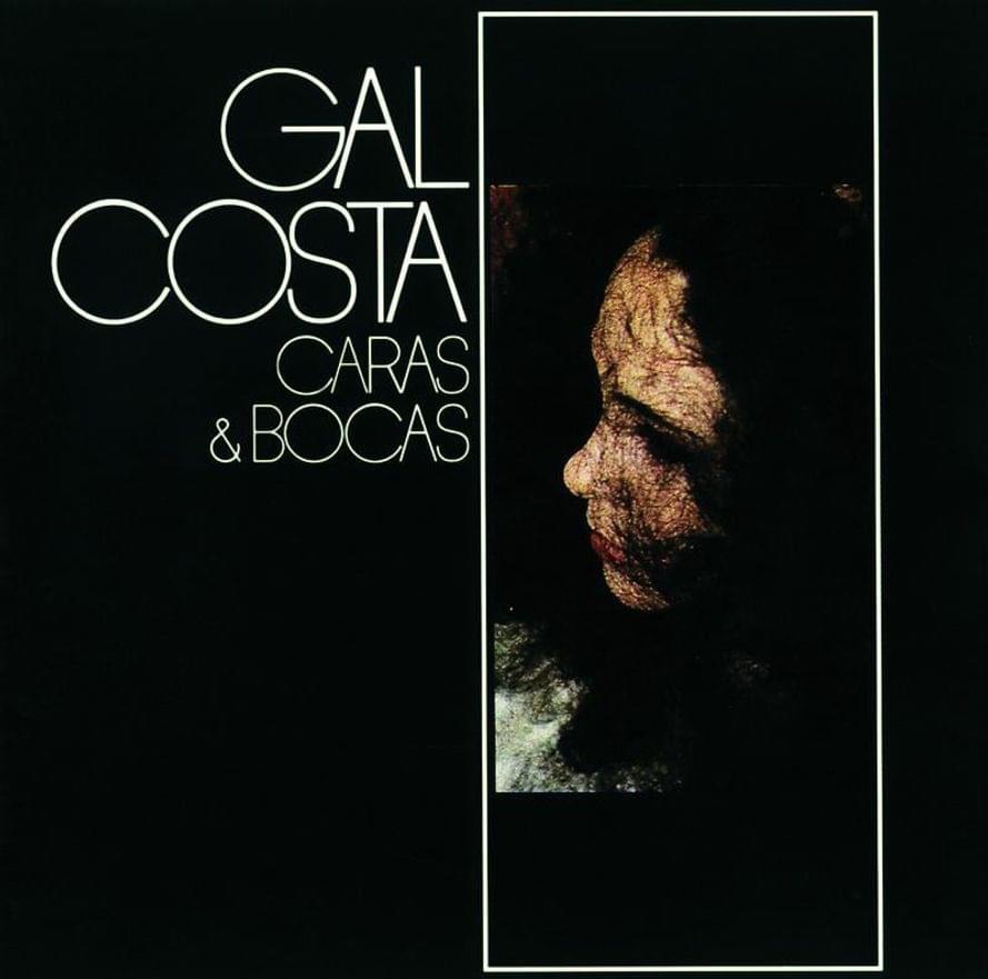 Album cover art for "Tigresa" by Gal Costa
