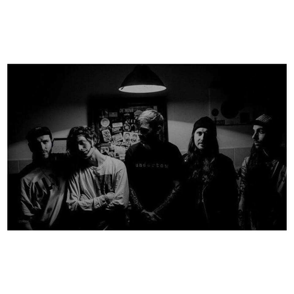 Dead Swans Profile Picture Photo of Dead Swans
