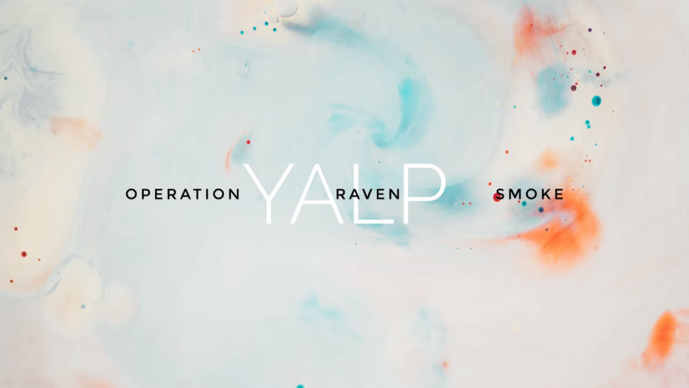Album cover art for "Operation Raven Smoke Remix" by Ńemy & Waldemar Kasta