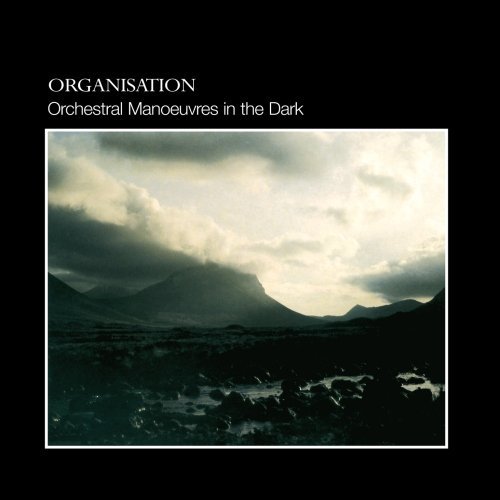 Cover image for Organisation
