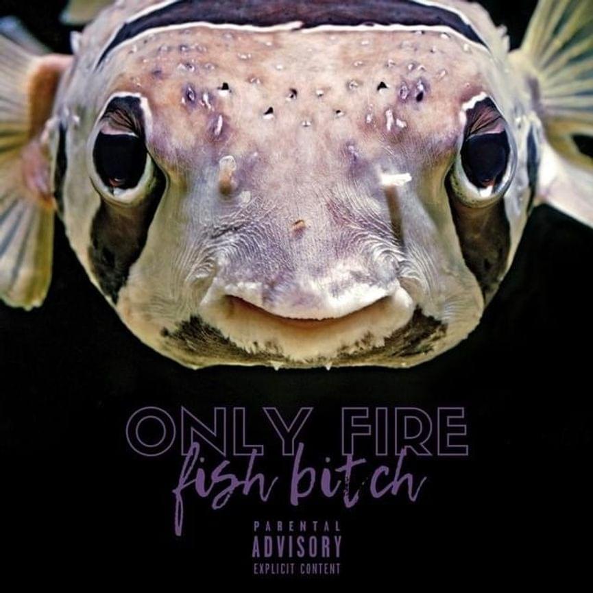 Album cover art for "Fish Bitch (Remix)" by Only Fire
