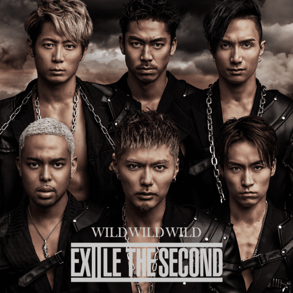 Cover image for Wild Wild Wild - Single
