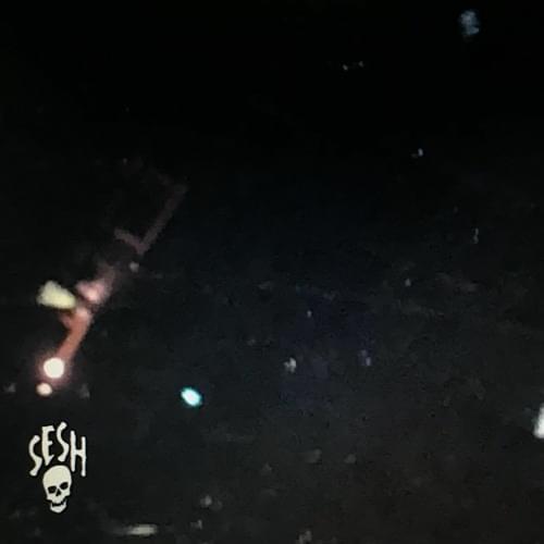 Cover image for Skyld
