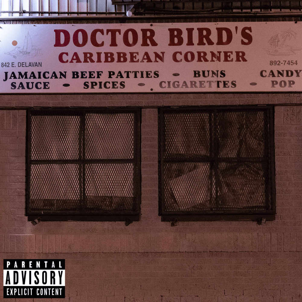DR BIRDS by Griselda